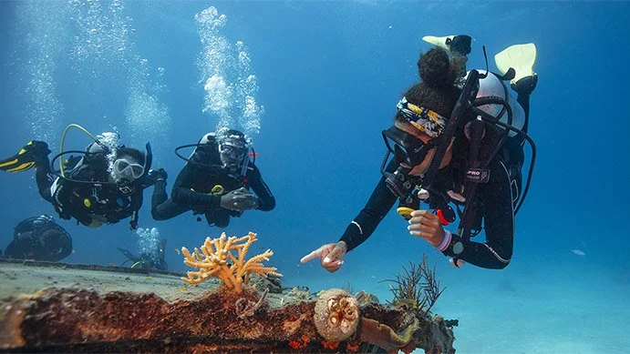 Divemaster